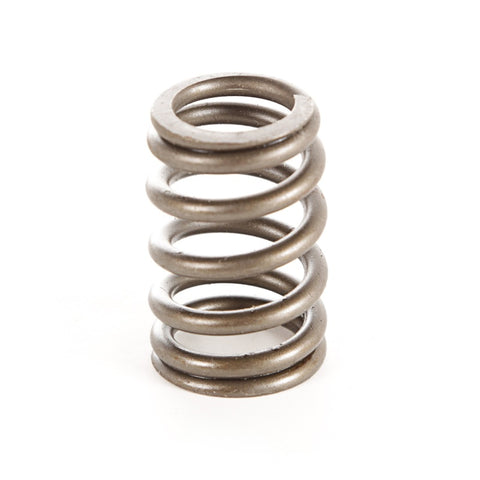 Omix Valve Spring- 87-97 YJ/XJ/MJ/ZJ/SJ - 17402.10