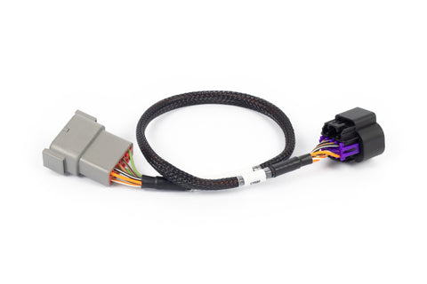 Haltech NEXUS Rebel LS 8-Pin DBW Adaptor (Plug-n-Play w/HT-186500) - HT-186506