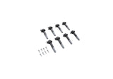 Ford Racing Boss 5.0L Block Plug & Dowel Kit - M-6026-BOSS50