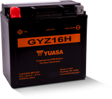 Yuasa GYZ16H High Performance Maintenance Free AGM 12-Volt Battery - YUAM716GH