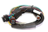 Haltech Elite 2500 Basic Universal Wire-In Harness ECU Kit - HT-151302