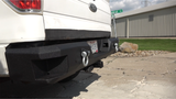 Fishbone Offroad 09-14 Ford F150 Rear Bumper - Black - FB22356