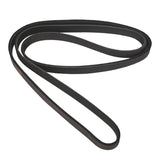 Omix Serpentine Belt 4.0L 99-06 GrandCherokee & Wrangler - 17111.23