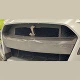 Ford Racing 20-21 Mustang GT500 Carbon Fiber Bumper Insert - M-17750-MCF