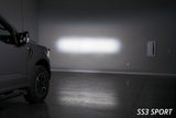 Diode Dynamics 21-22 Ford F-150 SSC2 Stage Series Backlit Ditch Light Kit - Pro White Combo - DD7367