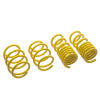 ST Lowering Springs Ford Mustang V8 - 28230052