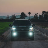 Rigid Industries D-Series SAE Fog Yellow/White Pair - 50482