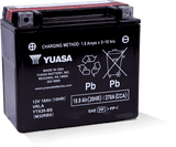 Yuasa YTX20-BS Maintenance Free AGM 12-Volt Battery w/Bottle - YUAM32RBS