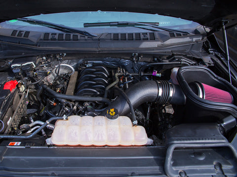 Roush 2015-2017 F-150 5.0L Performance Pac Level 2 - 422010