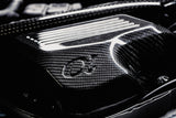 AMS Performance 15-18 BMW M3 / 15-20 BMW M4 w/ S55 3.0L Turbo Engine Carbon Fiber Intake - AMS.39.08.0001-1