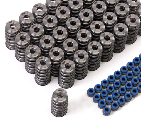 GSC P-D Audi R8 V10 / Lamborghini Huracan V10 5.2L Valve Spring & Ti Retainer Kit (w/Seats & Seals) - 5025
