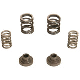 BD Diesel Governor Spring Kit 3000rpm - 1994-1998 Dodge 12-valve/P7100 Pump - 1040187