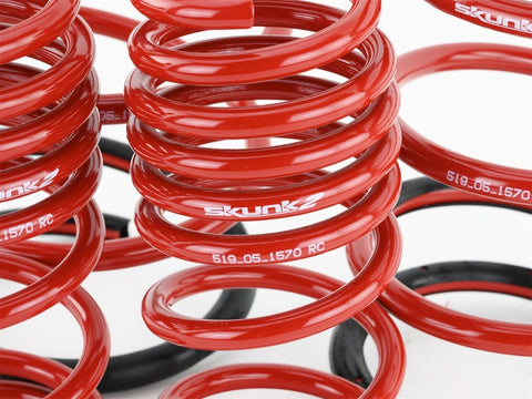 Skunk2 01-05 Honda Civic Lowering Springs (2.25in - 2.00in.) (Set of 4) - 519-05-1570