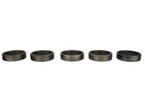 Ford Racing Camshaft Bearings - Roller (Sold in Engine Sets) - M-6261-A460