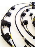 Rywire Honda S2000 AP1/AP2 (Early) Mil-Spec Engine Harness w/OEM Coils/Injector/ECU Plugs - RY-S2K-MILSPEC