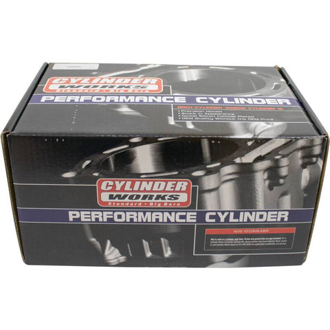 Cylinder Works 17-19 Polaris ACE 900 EPS XC 900cc Big Bore Cylinder 98mm - CW61007-1