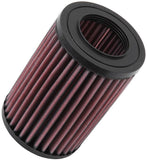 K&N 99+ Mercedes Smart Replacement Air Filter - E-9257