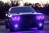 Oracle 0814 Dodge Challenger Dynamic Surface Mount Headlight/Fog Light Halo Kit COMBO - 1458-332