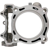 Cylinder Works 07-15 WR 450 F/2017 YFZ 450/09-24 YFZ 450 R Standard Bore Cylinder - 20003