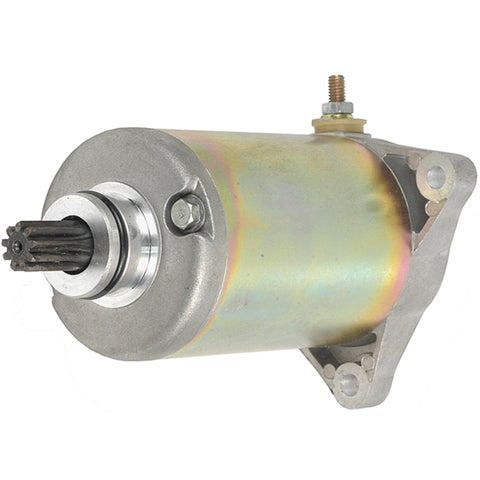 Wurzel Performance