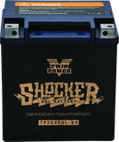 Twin Power YTX-32HL Shocker Gel Battery Replaces H-D 66010-97A 445CCA - 781235