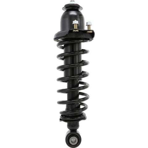 KYB Shocks & Struts Strut-Plus 05-10 Scion TC - Rear Right - SR4582
