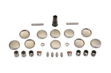 Ford Racing Plug and Dowel Kit - M-6026-CI46