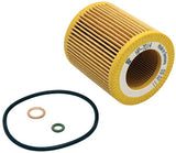 K&N 2019 BMW M2 3.0L/M4 3.0L Cartridge Oil Filter - HP-7014