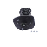 KYB Shocks & Struts Strut Plus Rear Right BUICK Century 1997-05 BUICK Regal 1997-04 CHEVROLET Impala - SR4003
