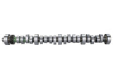 Ford Racing Small Block V-8 Hydraulic Roller Tappet Camshafts - M-6250-B303