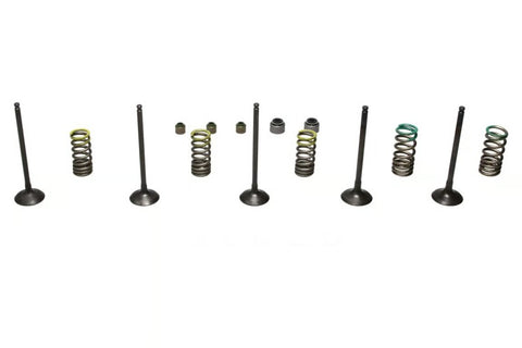 Wiseco 01-13 Yamaha YZ250F Steel Valve Set - SVKB2402