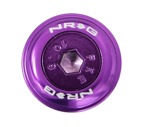 NRG Fender Washer Kit w/Color Matched M6 Bolt Rivets For Plastic (Purple) - Set of 10 - FW-150PP
