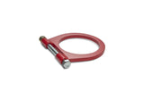 Ford Racing Tow HOOK LOOP Kit - M-17954-A