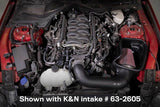 K&N 18-23 Ford Mustang GT 5.0L V8 (Gas) Catch Can Oil Separator - 81-0802