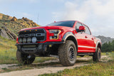 DV8 Offroad Ford 17-20 Ford F-150 Raptor Tube Front Bumper - FBFR1-01