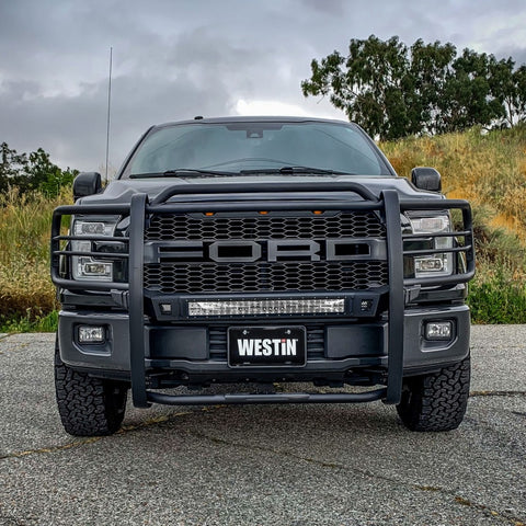Westin 15-20 Ford F150 Sportsman X Grille Guard - Textured Black - 40-33835