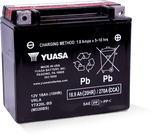 Yuasa YTX20L-BS Maintenance Free AGM 12-Volt Battery w/Bottle - YUAM320BS