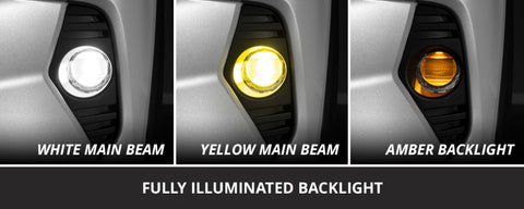 Diode Dynamics 19-22 Toyota RAV4 Elite Series Add-On Fog Lamp Kit - White - DD8817