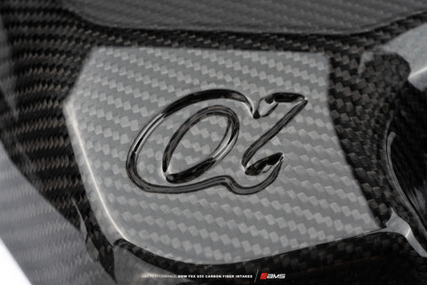 AMS Performance 15-18 BMW M3 / 15-20 BMW M4 w/ S55 3.0L Turbo Engine Carbon Fiber Intake - AMS.39.08.0001-1
