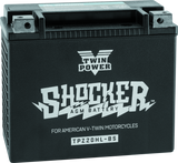 Twin Power YTX-20HL Shocker Battery Replaces H-D 65989-97A 310 CCA - 781154