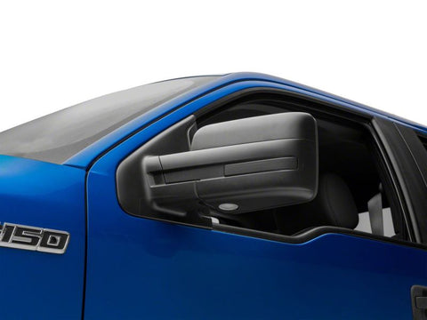 Raxiom 07-14 Ford F-150 Axial Series LED Puddle Lights - T550593