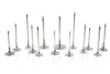 Ferrea Toyota 20R 45mm 8mm 115.4mm R. 8.3mm S-Flo Competition Plus Intake Valve - Set of 4 - F1436P