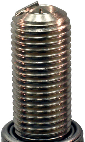 NGK Racing Spark Plug Box of 4 (R2556B-8) - 6453