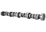 Ford Racing Small Block V-8 Hydraulic Roller Tappet Camshafts - M-6250-B303