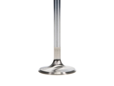 Manley Ford 4.6L DOHC (4 Valve) Triple Groove 37mm Race Master Intake Valves - Single - 11616-1
