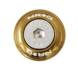 NRG Fender Washer Kit w/Rivets For Plastic (Titanium) - Set of 10 - FW-100TI