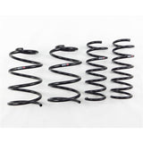 RS-R 2013 Ford Focus ST Down Sus Springs - FO200D