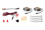 Diode Dynamics RGBW Footwell Strip Kit 2pc Multicolor - DD0438