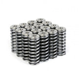 Skunk2 Alpha Series Honda/Acura D Series Valve Spring and Titanium Retainer Kit - 344-05-1350