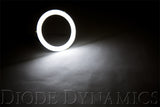 Diode Dynamics Halo Lights LED 70mm - Red (Pair) - DD2048